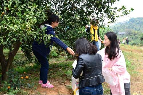 图书馆档案馆分工会举办“感受家乡风情，体验丰收喜悦”秋游活动